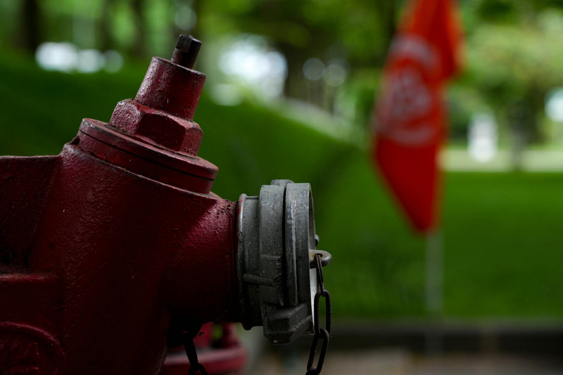 Zawór antyskażeniowy w instalacji: kiedy jest obowiązkowy i jak go poprawnie dobrać Czerwony hydrant przeciwpożarowy na tle zieleni na zewnątrz