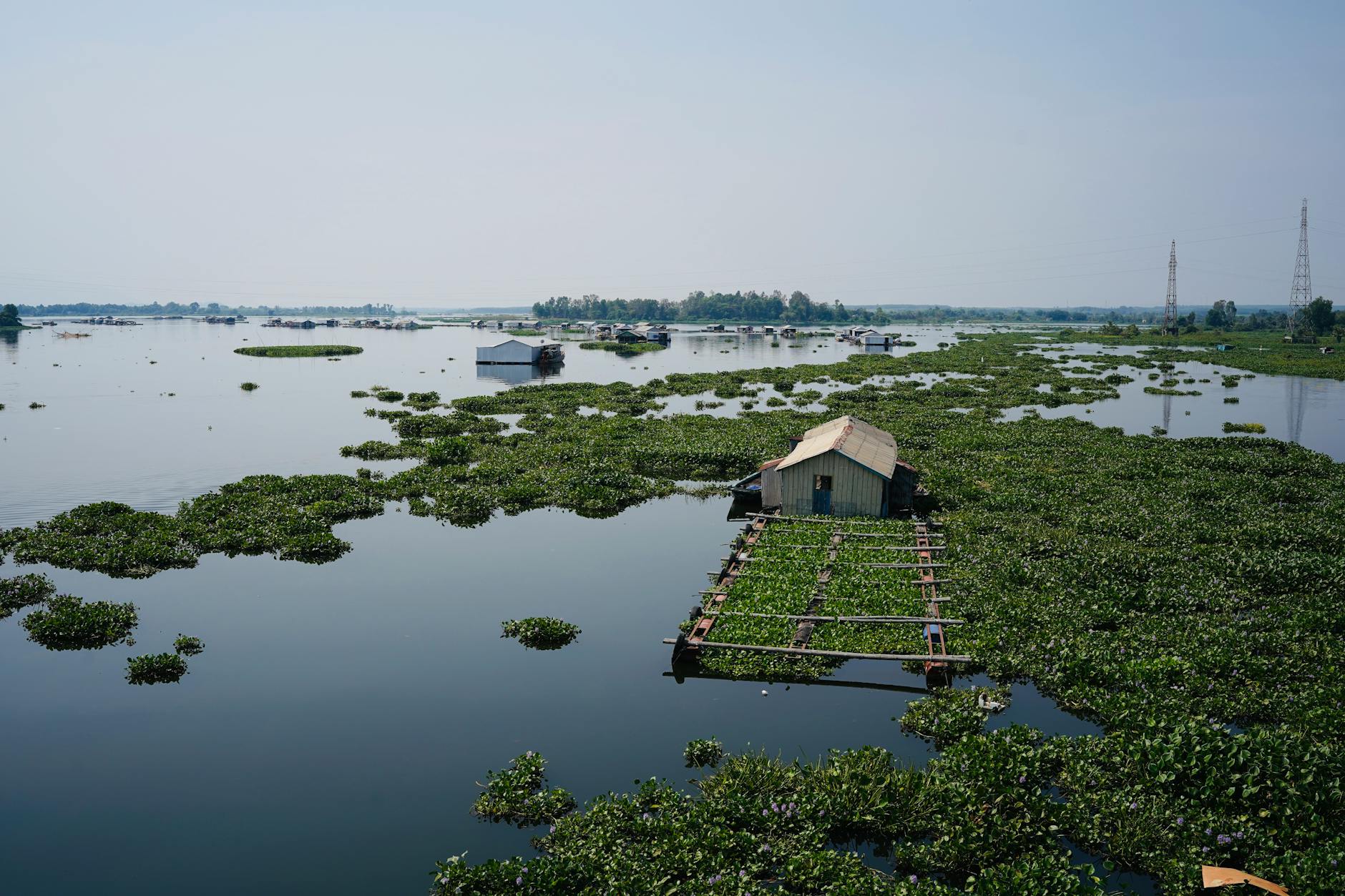 Dom na wodzie otoczony roślinnością na jeziorze w Wietnamie