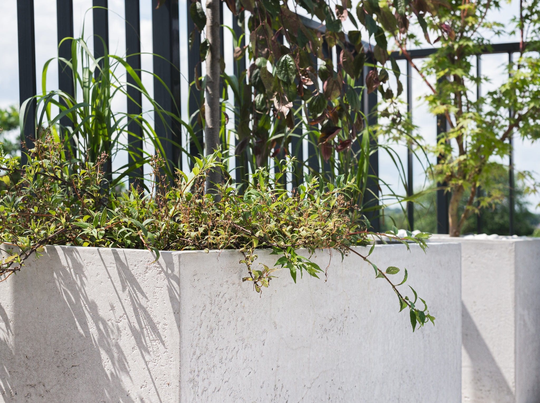 donica w imitacji betonu architektonicznego